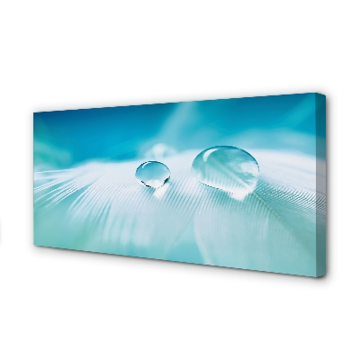 Obraz na płótnie Makrofotografia Kropli Wody