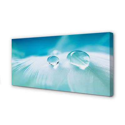 Obraz na płótnie Makrofotografia Kropli Wody