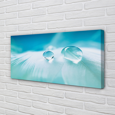 Obraz na płótnie Makrofotografia Kropli Wody