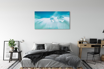 Obraz na płótnie Makrofotografia Kropli Wody