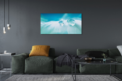 Obraz na płótnie Makrofotografia Kropli Wody