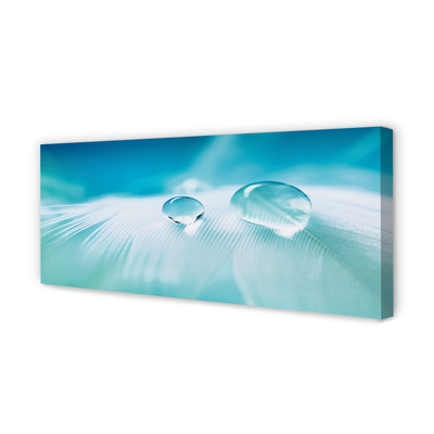 Obraz na płótnie Makrofotografia Kropli Wody