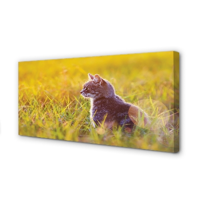 Fotoobraz na płótnie Kot w Trakcie Polowania