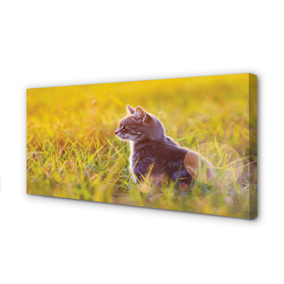 Fotoobraz na płótnie Kot w Trakcie Polowania
