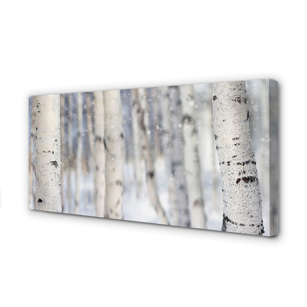 Obraz na płótnie Drzewa Zimą w Śniegu