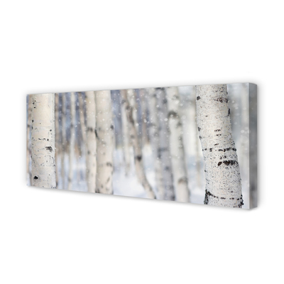 Obraz na płótnie Drzewa Zimą w Śniegu