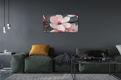 Obraz na płótnie Różowe kwiaty