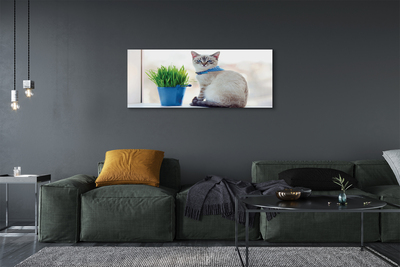 Obraz na płótnie Siedzący kot