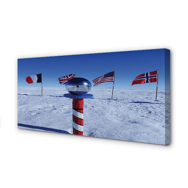 Fotoobraz na płótnie Brazylijska Flaga