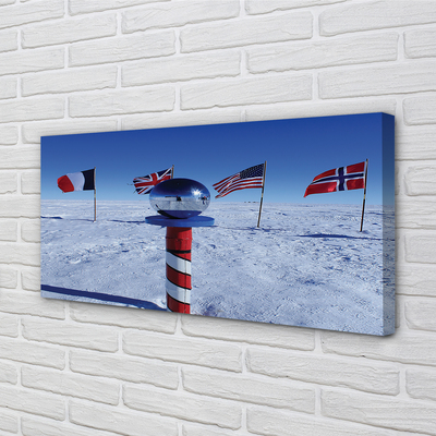 Fotoobraz na płótnie Brazylijska Flaga