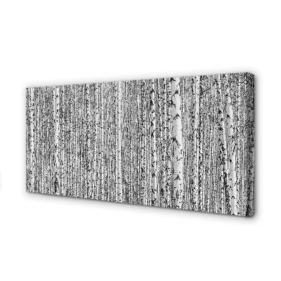 Obraz na płótnie Czarno-Biały Las