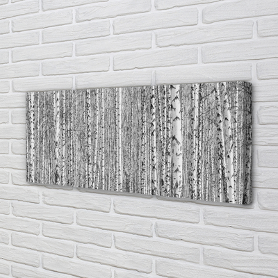 Obraz na płótnie Czarno-Biały Las