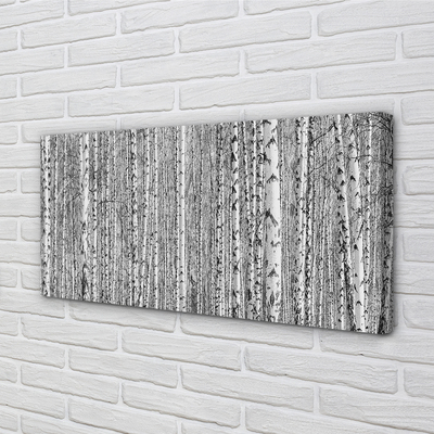 Obraz na płótnie Czarno-Biały Las