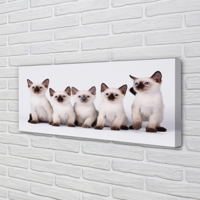 Duży obraz na płótnie Urocze Małe Kocięta