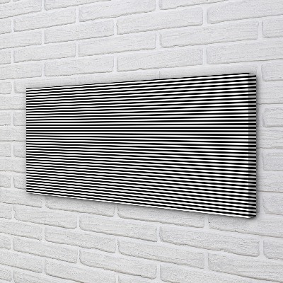 Obraz drukowany na płótnie Motyw Zwierzęcy: Zebra