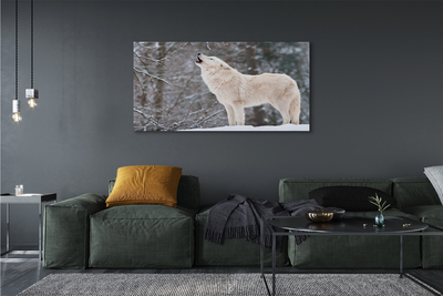 Obraz na płótnie Wilk las zima