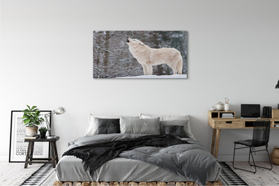 Obraz na płótnie Wilk las zima