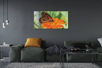 Obraz drukowany na płótnie Kwiat i Kolorowy Motyl
