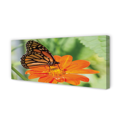 Obraz drukowany na płótnie Kwiat i Kolorowy Motyl