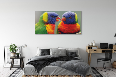 Obraz na płótnie Kolorowe papugi