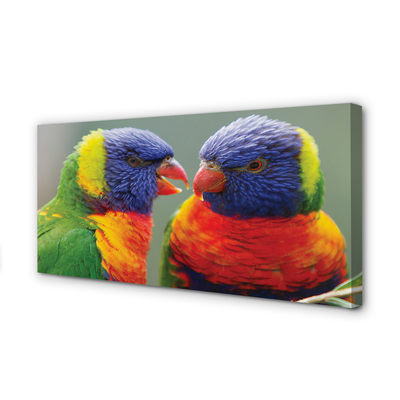 Fotoobraz na płótnie Feeria Barw: Papugi
