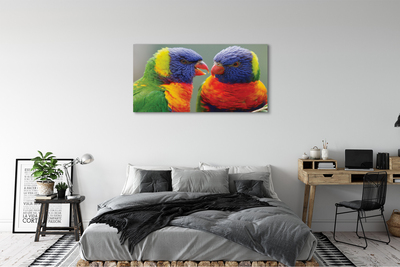 Fotoobraz na płótnie Feeria Barw: Papugi