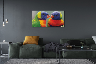 Fotoobraz na płótnie Feeria Barw: Papugi