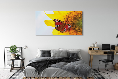 Obraz na płótnie Słonecznik motyl