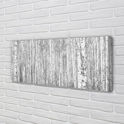 Obraz na płótnie Czarno-Biały Las