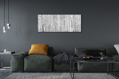 Obraz na płótnie Czarno-Biały Las