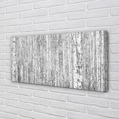 Obraz na płótnie Czarno-Biały Las