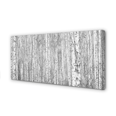 Obraz na płótnie Czarno-Biały Las