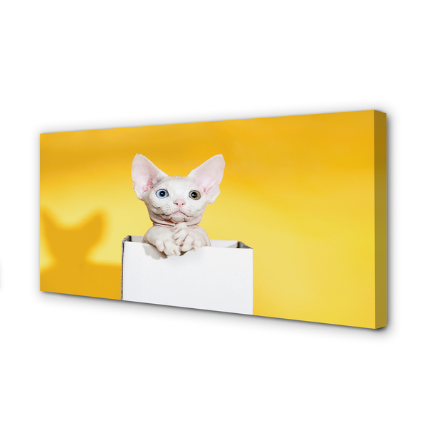 Duży obraz na płótnie Spokojnie Siedzący Kot