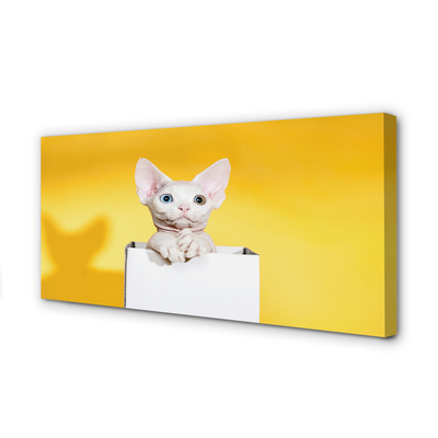 Duży obraz na płótnie Spokojnie Siedzący Kot