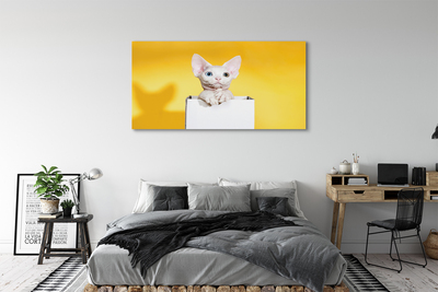 Duży obraz na płótnie Spokojnie Siedzący Kot