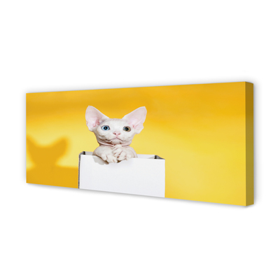 Duży obraz na płótnie Spokojnie Siedzący Kot