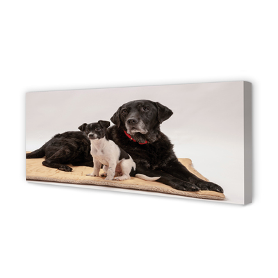 Duży obraz na płótnie Odpoczywające Psy