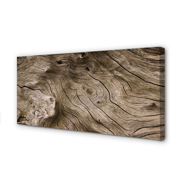 Fotoobraz na płótnie Rysunek Natury W Drewnie