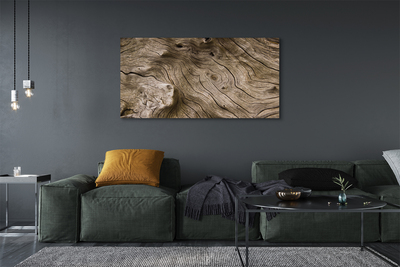 Fotoobraz na płótnie Rysunek Natury W Drewnie