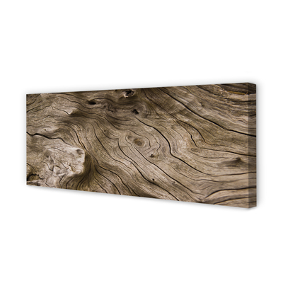 Fotoobraz na płótnie Rysunek Natury W Drewnie