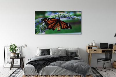 Obraz na płótnie Motyl na kwiatku