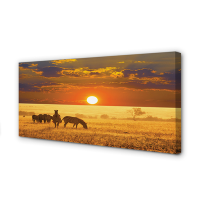 Fotoobraz na płótnie Zebry o Zachodzie Słońca