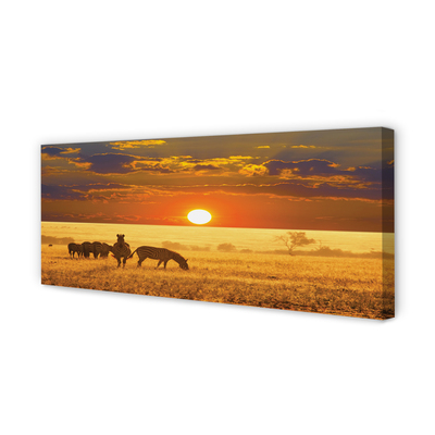 Fotoobraz na płótnie Zebry o Zachodzie Słońca