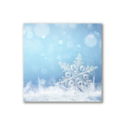 Obraz na Płótnie Płatki śniegu Zima Śnieg