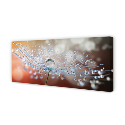 Obraz na płótnie Poranny Detal Dmuchawca