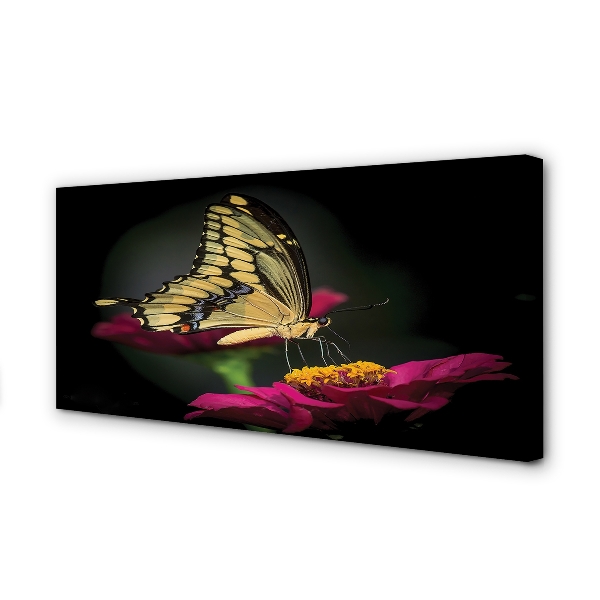 Obraz na płótnie Motyl na Roślinie