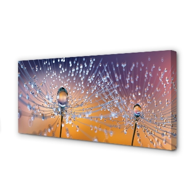 Obraz na płótnie Rosa na Parasolkach Dmuchawca