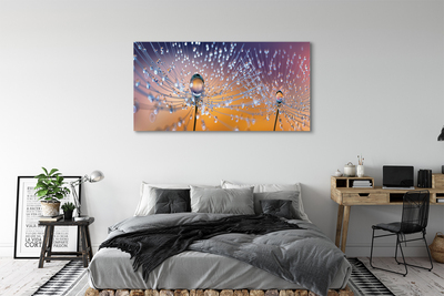 Obraz na płótnie Rosa na Parasolkach Dmuchawca