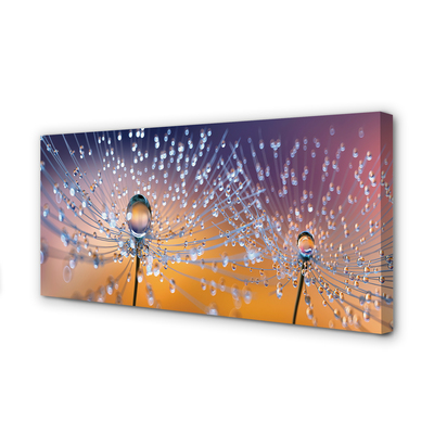 Obraz na płótnie Rosa na Parasolkach Dmuchawca