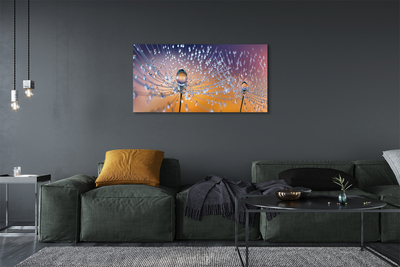 Obraz na płótnie Rosa na Parasolkach Dmuchawca